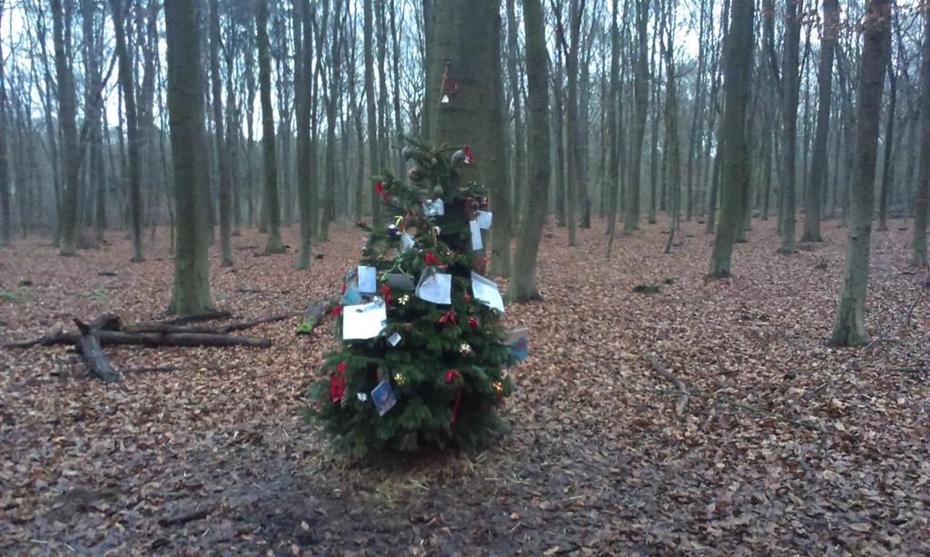 veloman_nrw's tweet image. Im Wohnungswald von #Möllen &amp;amp; #Dinslaken steht mitten drin ein #Weihnachtsbaum. Frohes Fest. @voerde_de