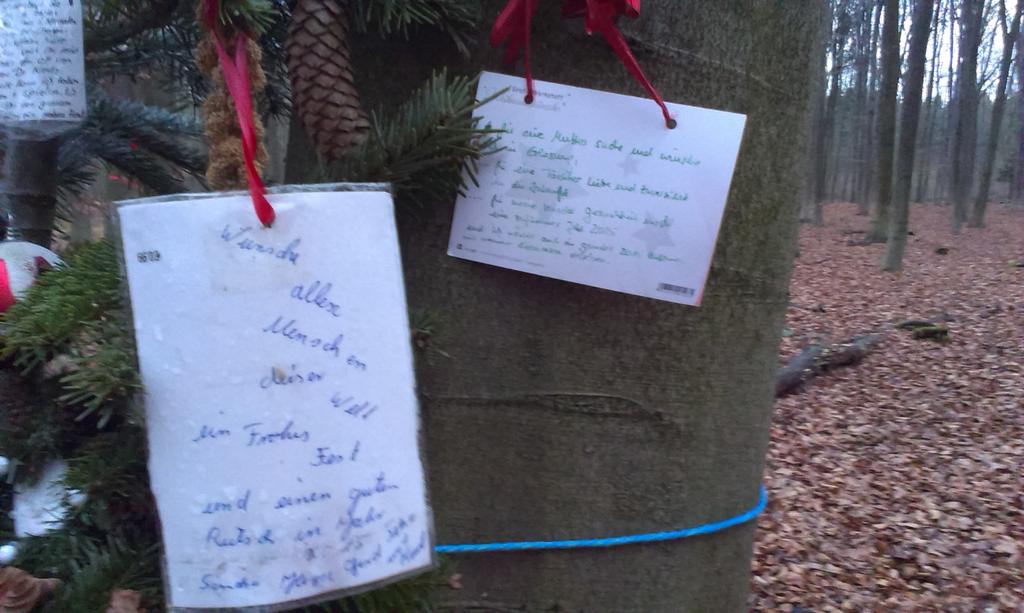 veloman_nrw's tweet image. Im Wohnungswald von #Möllen &amp;amp; #Dinslaken steht mitten drin ein #Weihnachtsbaum. Frohes Fest. @voerde_de