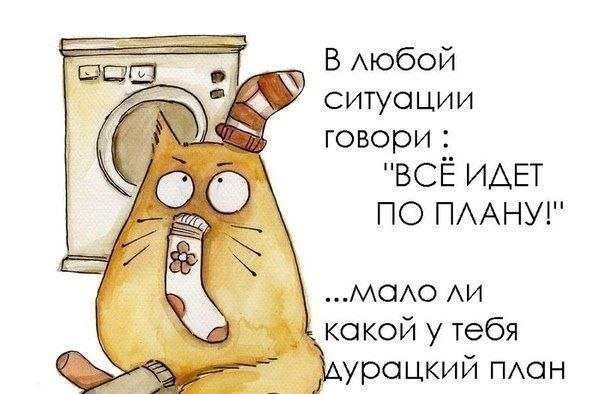 Евгений Пузаков (@e_puzakov) on Twitter photo 