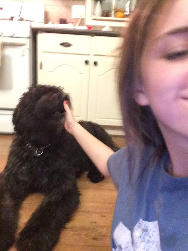_EMILYKERR's tweet photo. HAPPY FIRST BDAY BUBBY YOURE MY EVERYTHING🐾💛💙💜💚❤️💗💓💕💖💞💘💟 http://t.co/74j8iDaHJv