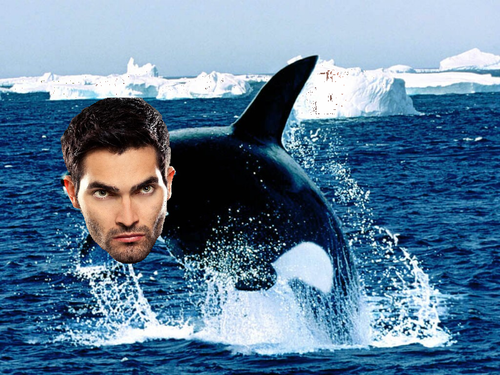 discopunkk's tweet photo. Scott: Forget Lydia man, there are bigger fish in the sea
Stiles: Oh yeah, like who?
#SterekFest
#SterekComedyHour http://t.co/iRPnePC35K