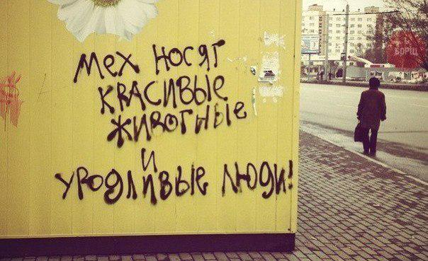 VictoriaaMint's tweet image. #myposition