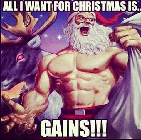 BeastBreed3's tweet photo. Beast Christmas !🐗🎄🎉🎅 http://t.co/upfbu8kvGq
