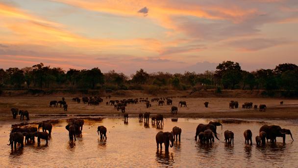 Discover life in #Zambia’s lush Luangwa Valley: bbc.in/1mOLcCD