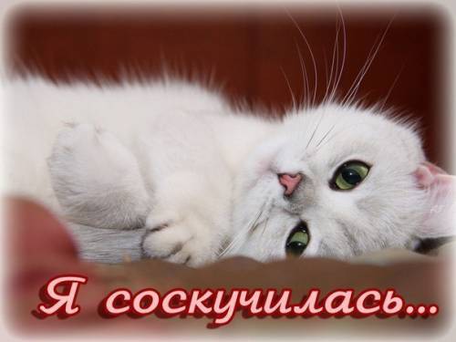 fedotsov's tweet image. Здесь я бы никогда не соскучилась