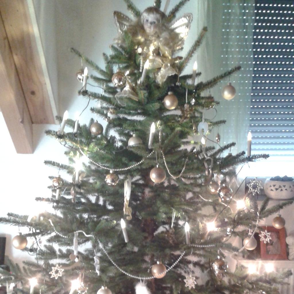 Linzgaubraut's tweet photo. Ein wunderschönes mit Licht und Liebe gesegnetes Weihnachtsfest http://t.co/fiQmDeT1J2