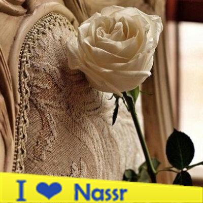 &ملوكة ابها& tweet media