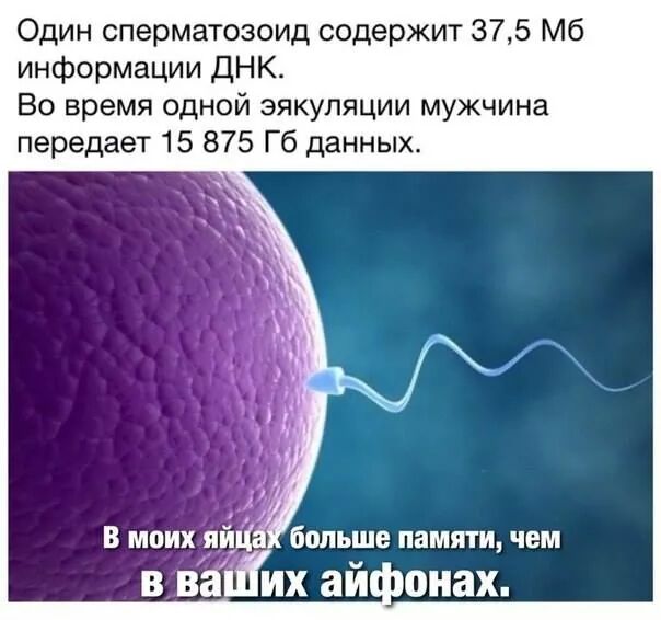 ernestoshylo's tweet photo. @vsmexe вот так 😅 http://t.co/SCRzQ0j1KI
