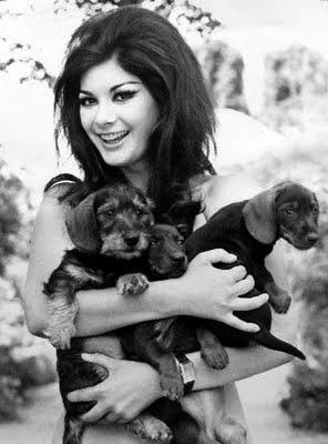 Yuletide Greetings to all & Happy Birthday to Edwige Fenech, Giallo icon! (This photo is too cute in too many ways!) 