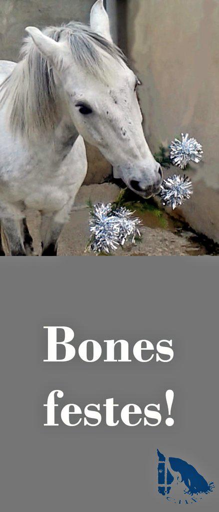 CHlaFou's tweet photo. L'equip del Centre hípic la Fou us desitja: BONES FESTES!!! :-) http://t.co/MR5cngDTzv