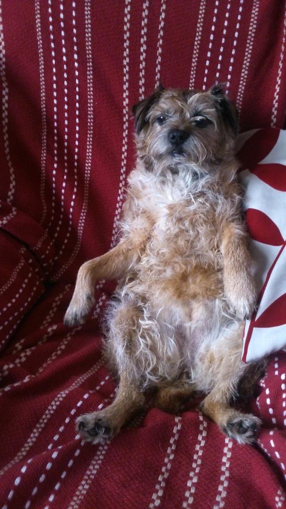 Making herself at home 😂😂