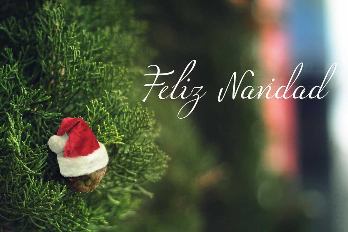 ¡¡Feliz Navidad!!

R1 les desea que sean felices en estos días tan señalados...:)

 #camionesrenault