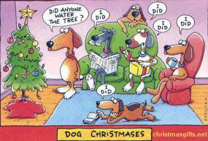 Merry Christmas & Happy New Year - Page 3 B5ngk9GIcAABn8H