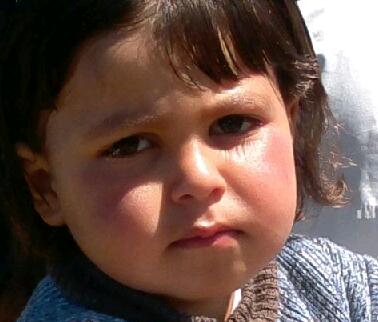 allahabi82 tweet picture