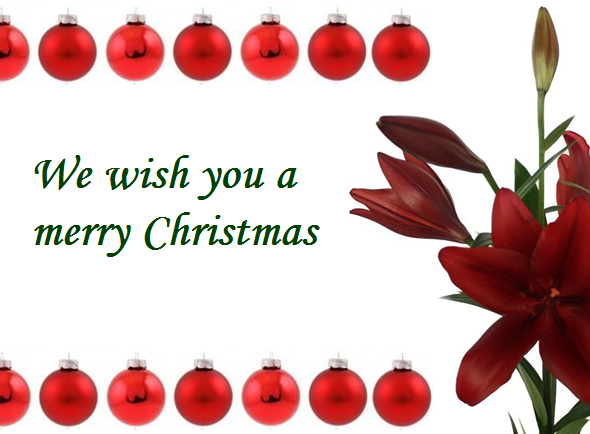Merry Christmas!