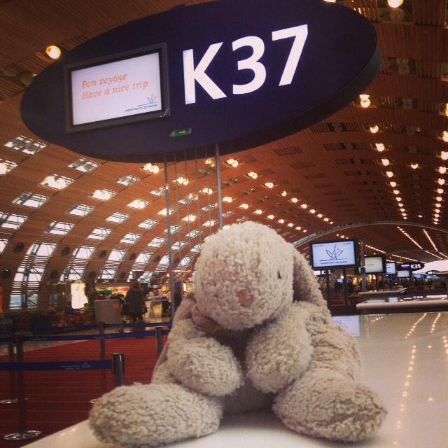 AFnewsroom's tweet photo. Doudou oublié à #CDG 2E en porte K37 le 23/12 veut retrouver sa famille ! :) RT svp ! #AirFranceVousRapproche http://t.co/0HO4oHeEyp