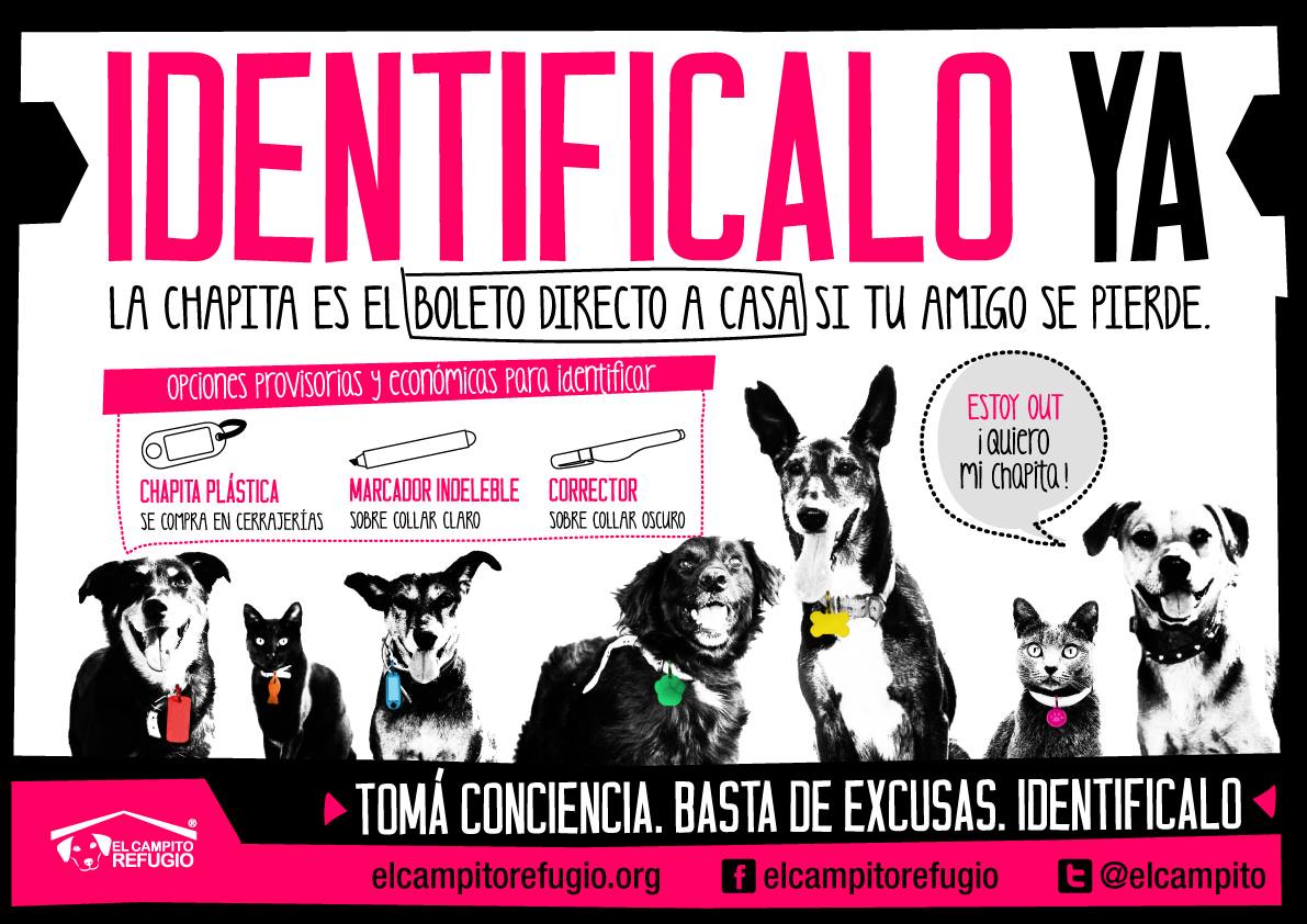 elcampito's tweet photo. Especialmente hoy:
1) IDENTIFICÁ a tus animales
2) NO los automediques
3) #BastadePirotecnia 
Tomá conciencia. RT http://t.co/QkMj4nEzv3