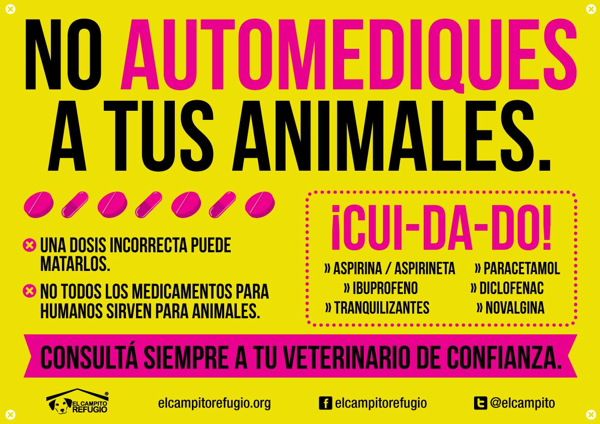 elcampito's tweet photo. Especialmente hoy:
1) IDENTIFICÁ a tus animales
2) NO los automediques
3) #BastadePirotecnia 
Tomá conciencia. RT http://t.co/QkMj4nEzv3