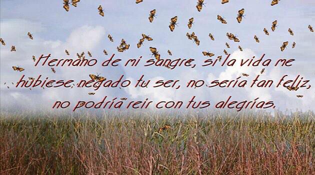 Gaby Zarate Aguilar (@gabyzarate85) on Twitter photo 
