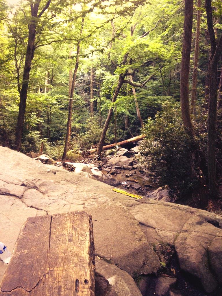 LivStrongHelp's tweet image. You can be the person taking this and think why don&apos;t i jump. Or you can take it all in enjoy every last bit of life