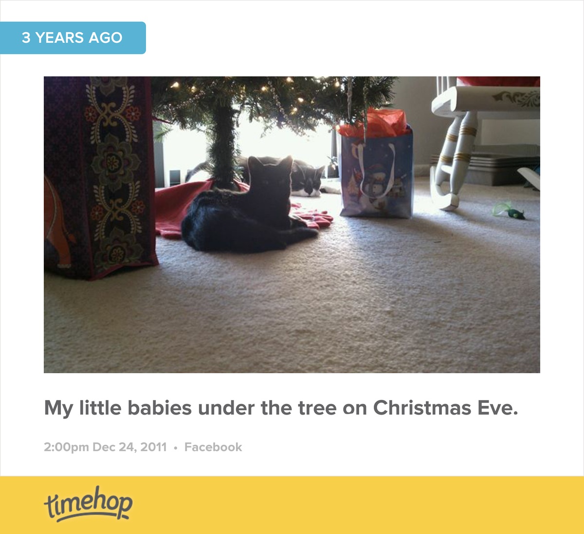 Kells377's tweet photo. I have a few more babies now. Lol http://t.co/boLRzVbcWD http://t.co/JfbVKcFWJ6