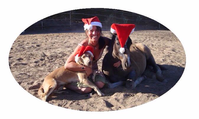 Domanatural's tweet photo. FELIZ NAVIDAD LES DESEA DOMA NATURAL CHILE
http://t.co/Rz0riqRFBP http://t.co/2tt6KIjBwu