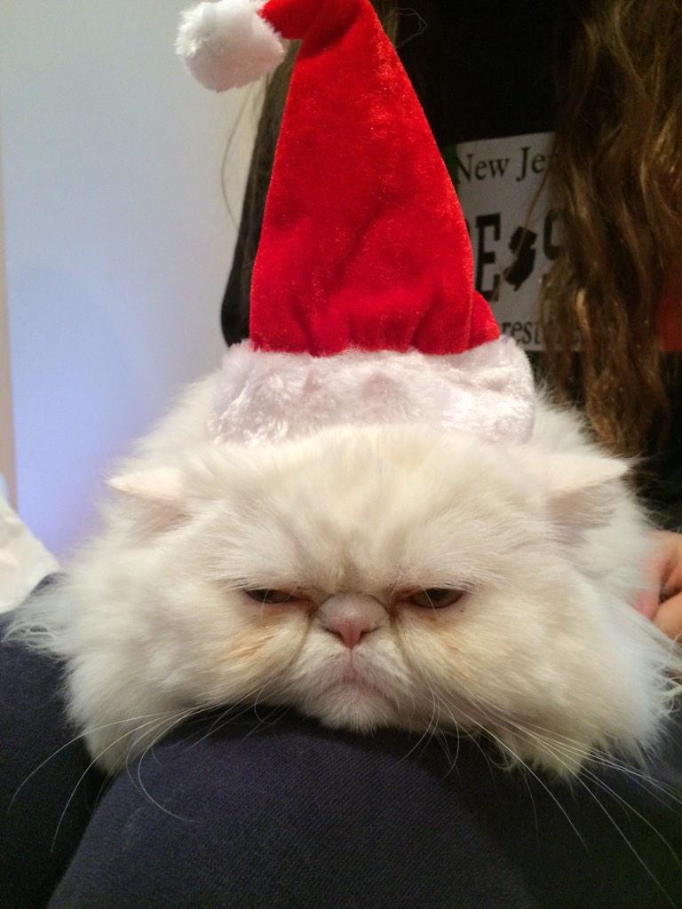 IreneORourke37's tweet photo. @TheEllenShow Happy Holidays!! #Hilarie http://t.co/p23z5ZDxHL