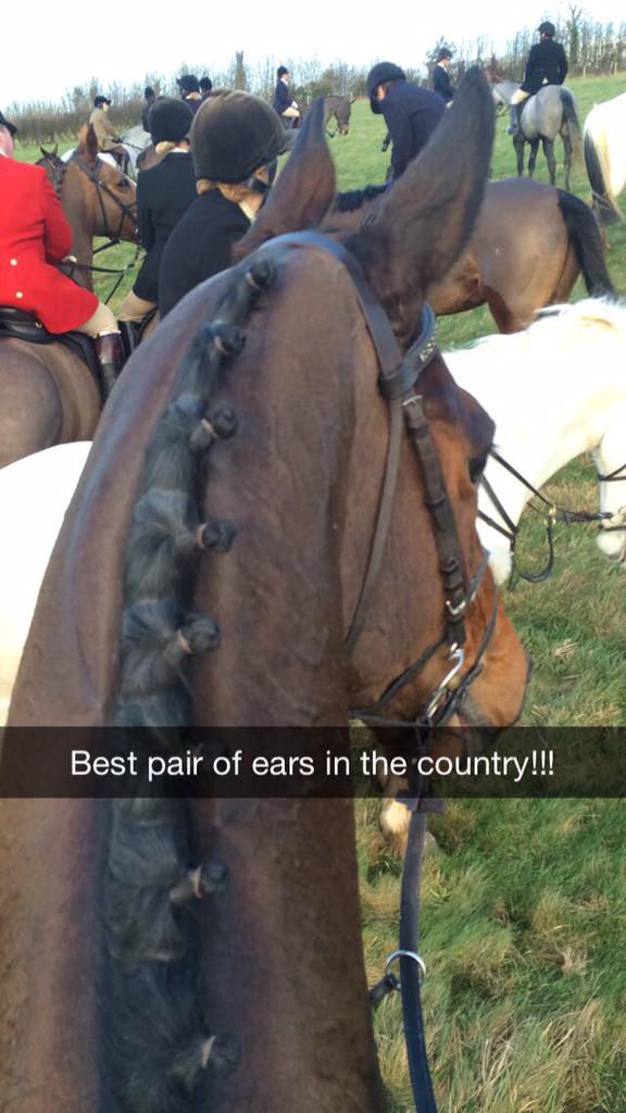 JaimieK76's tweet photo. Just had the best few hours hunting eva on Billy Cuckoo on his first day out! Jumps like a buck! #legend! http://t.co/mCN2LmXhon
