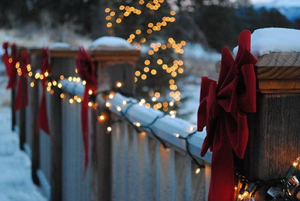 b0llicina's tweet photo. Auguro a tutti voi un Buon Natale :)

@SerenaSs10 @GCavataio @CarlaSicuro1 @orchideaselva78 @chuchinita03 http://t.co/0MgeTU79mE
