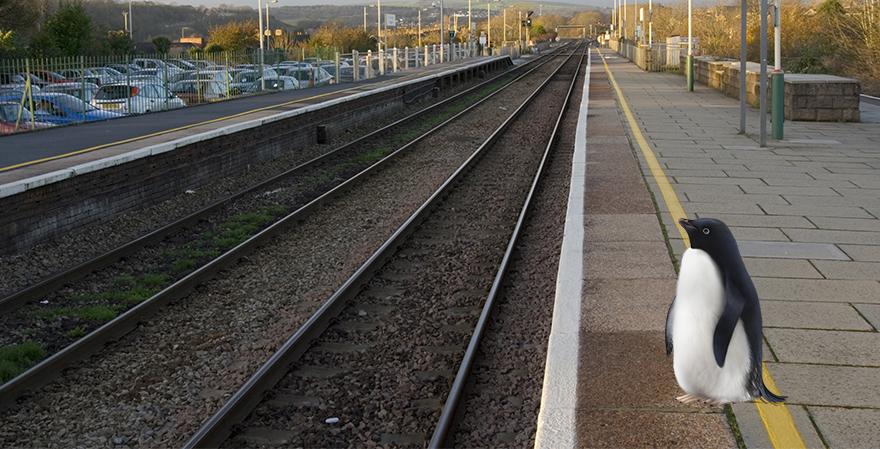 Bye <a href="/MabelThePenguin/">MabelThePenguin</a> – have a nice time in the Antarctic. I love you. X #MontyThePenguin