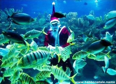 divelike's tweet photo. I nostri più calorosi auguri di Buon Natale e serene Feste! Il team Divelike http://t.co/aTnYC86y8v #subacquea http://t.co/zdmJ8rtnWC