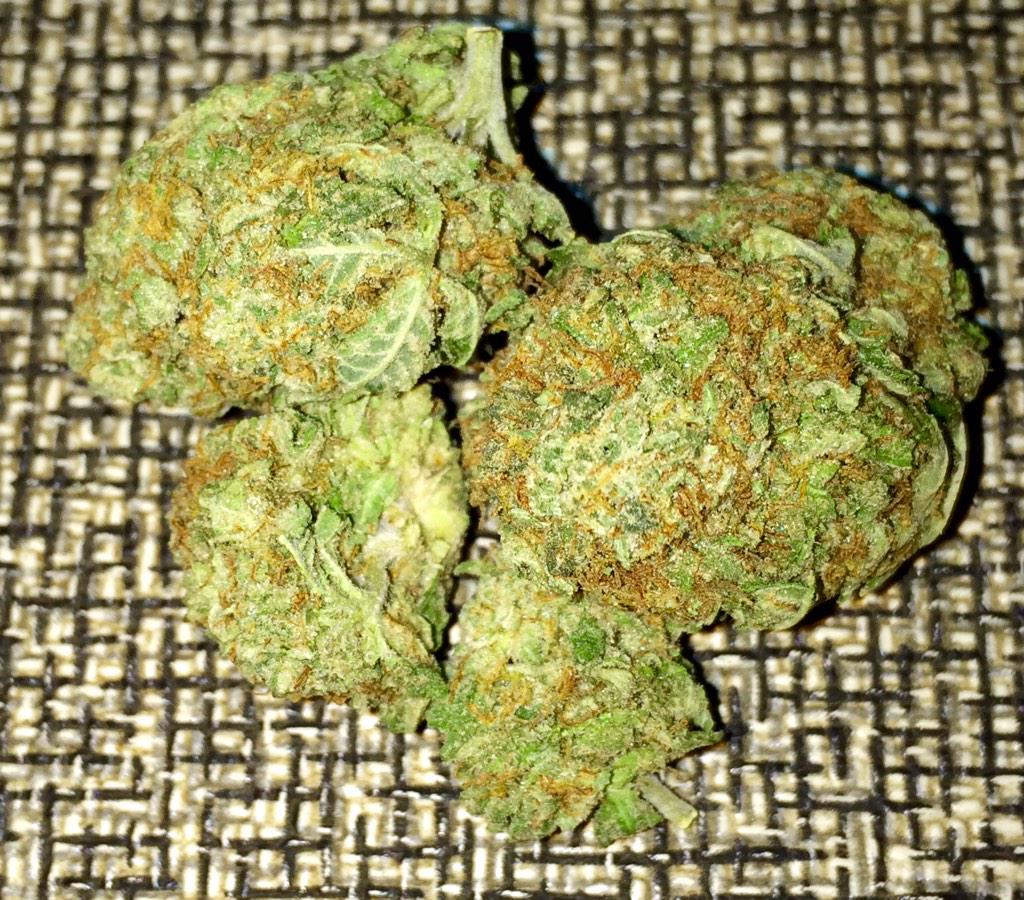 WeedLikeStuff tweet picture