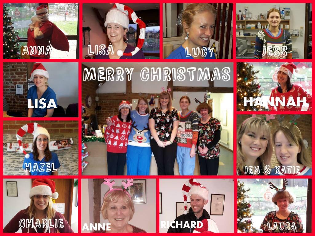 HandRvets's tweet photo. Merry Christmas #Christmas #vets http://t.co/SVJXg9taja