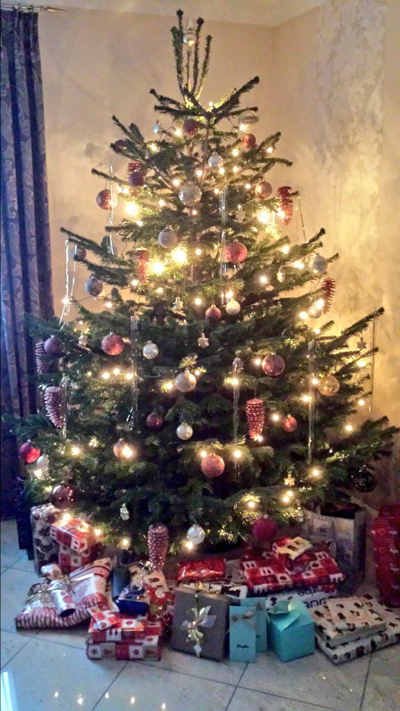 tani_cookie23's tweet photo. Merry Christmas to everyone! 🎅🎄🎁🎀 http://t.co/Uv6TNR0VJ7