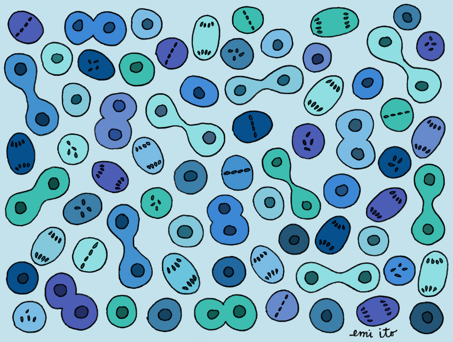 InEarnestMag's tweet photo. We continue to explore #wonder with Tim Davies, a scientist: http://t.co/BPqUGihveN http://t.co/aB2LFMpHu7