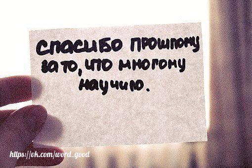 Елена Дайнеко tweet media
