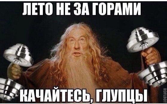 Света Губина tweet media