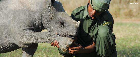 Protect_Wldlife's tweet photo. Words of Encouragement to our Rangers at Christmas time http://t.co/oNdLZmm0w9 via @fightforrhinos #KillTheTrade http://t.co/ynzmWxJhVS