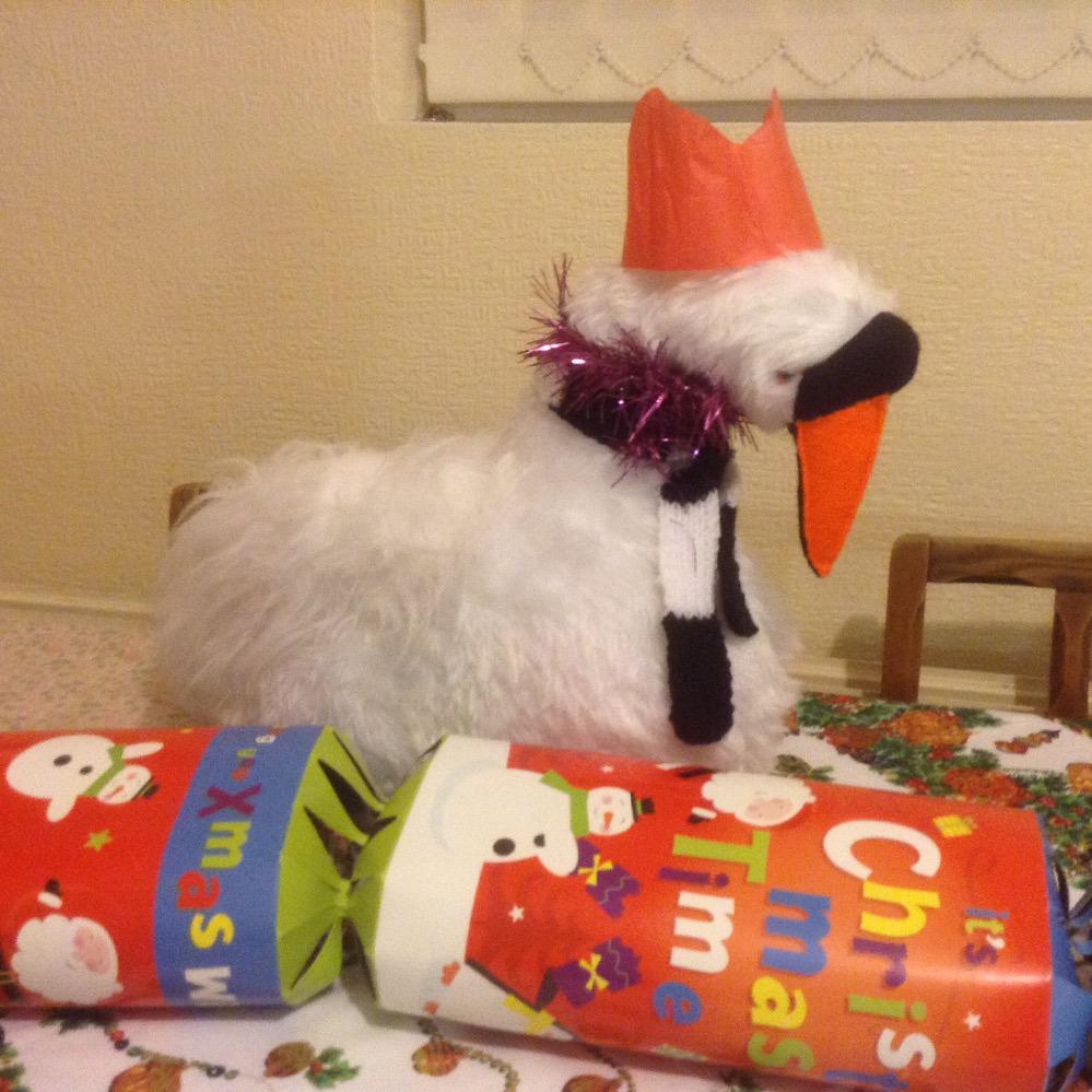 swan_around's tweet photo. Cyb in the festive spirit. @SwansOfficial #NadoligLlawen http://t.co/aH8n327Mdh
