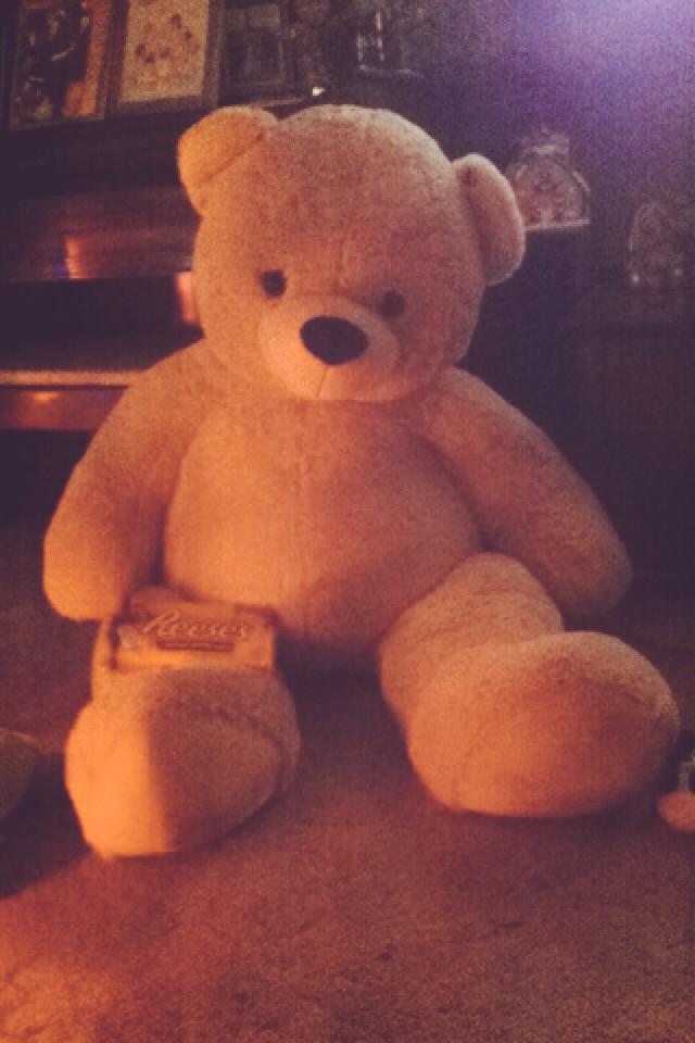 HardingAsh's tweet image. Ya I pretty much had the greatest boyfriend ever! 5 foot bear and a giant Reese's! 😍