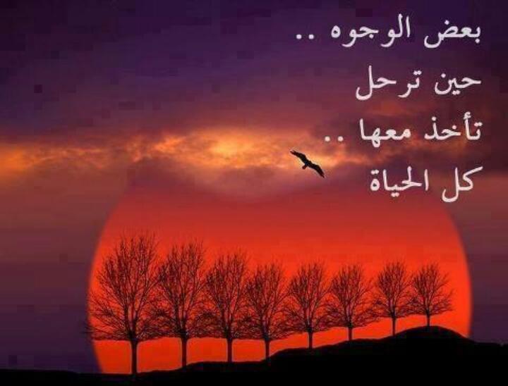 سالب♡حلو لأجنبي جاد (@vbvc10) on Twitter photo 