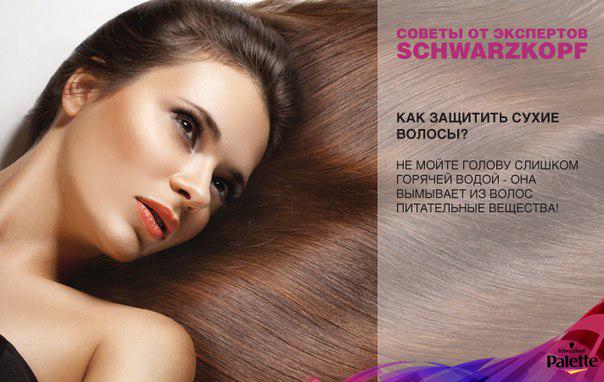 Aleksandra Liza tweet media