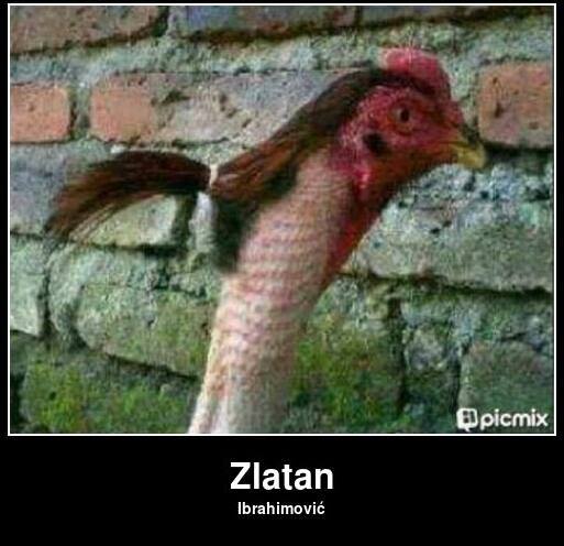 olymp_marseille's tweet photo. Zlatan Ibrahimovic vous souhaite un joyeux Noël http://t.co/MieIdMKXBk