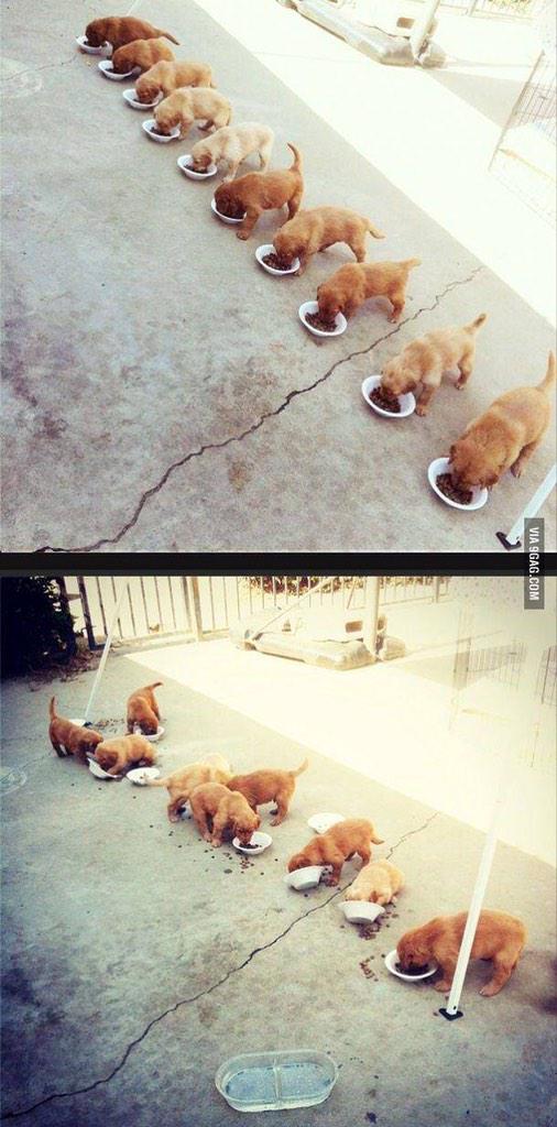 JulianEngel13's tweet image. #Multithreaded programming what it's supposed to be vs what it really looks like. #Programmer #development @codeorg