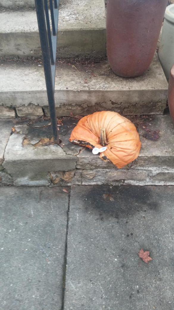 DJGloveRepair's tweet image. New 2014 Christmas regulation that you may not be aware of; Santa skips your house if you still have a pumpkin out.