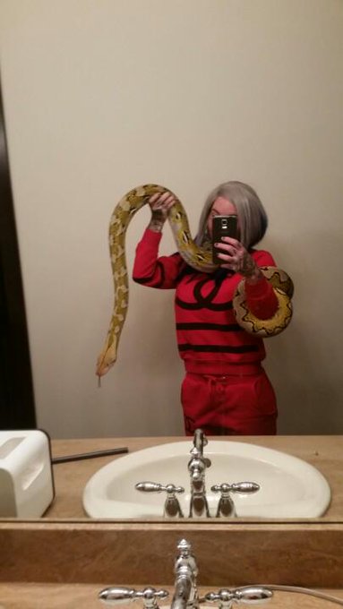 Butter-claus hates his hat. In place of cookies, he requests warmed, jumbo rats be left out. http://t<a href="/tag/mackmonday"class="tags"><span>#mackmonday</span></a><a href="/tag/dailymack"class="tags"><span>#dailymack</span></a>