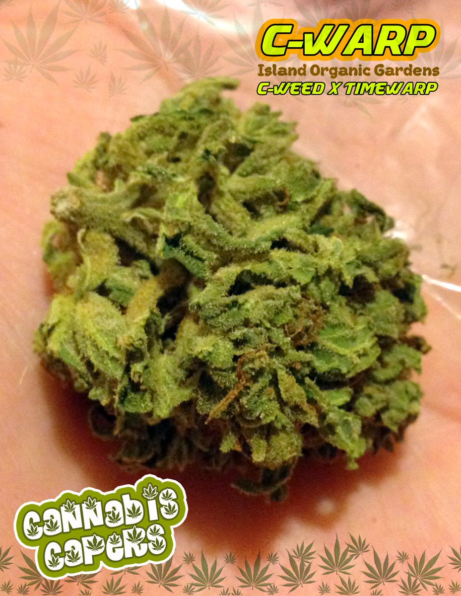 CannabisCapers's tweet photo. #CWarp Beautiful #pineycitrus smell blasting out of the grinder & #NiceMellowHigh Nice find from the #4DollarMenu :) http://t.co/d0WGxLqMAV