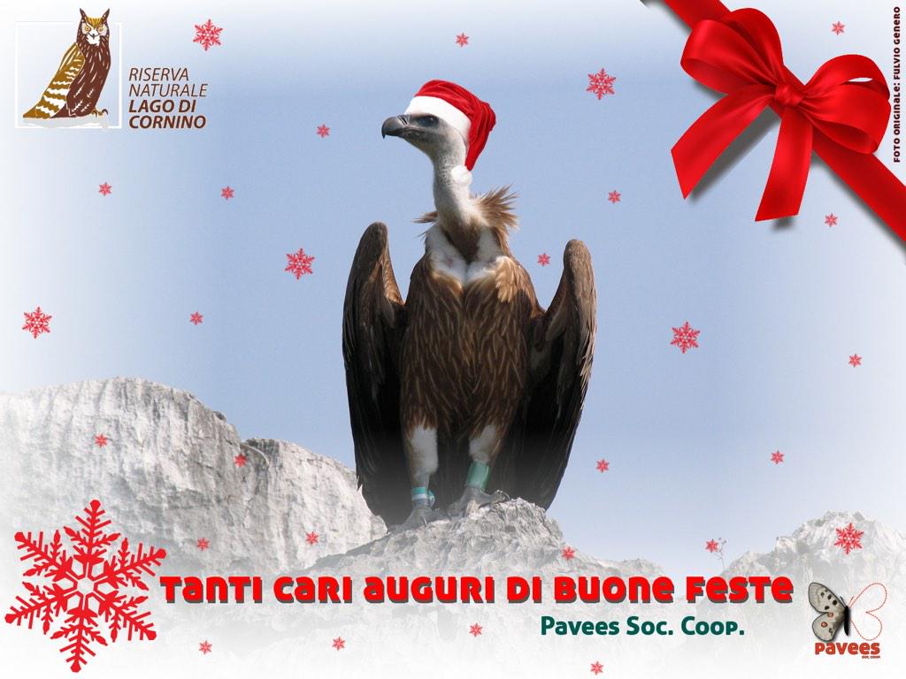RiservaCornino's tweet photo. http://t.co/cdBaVPD0gX