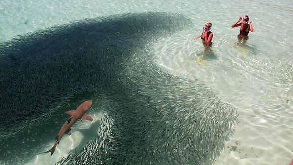 _Paisajes_'s tweet photo. La naturaleza puede ser peligrosa! http://t.co/8cF38BskIi