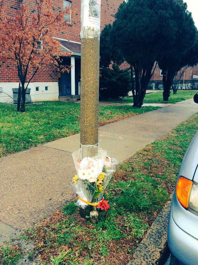 Tim Lashley tweet media